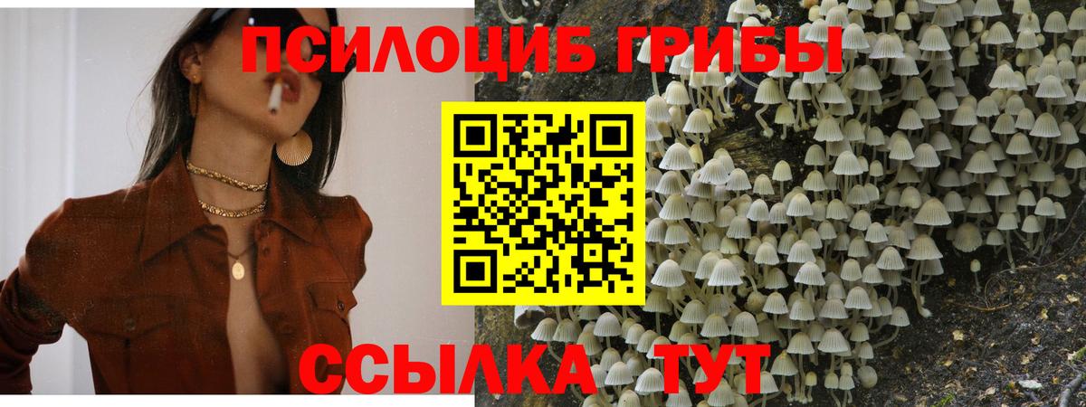 Псилоцибиновые грибы ЛСД Благодарный